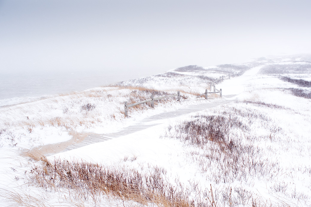 Aquinnah Headlands 2015