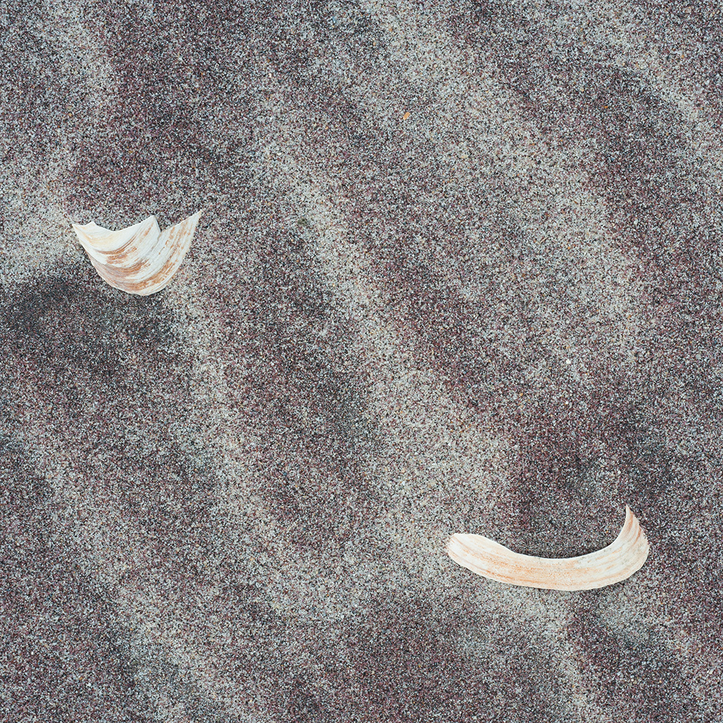 Beach 2011