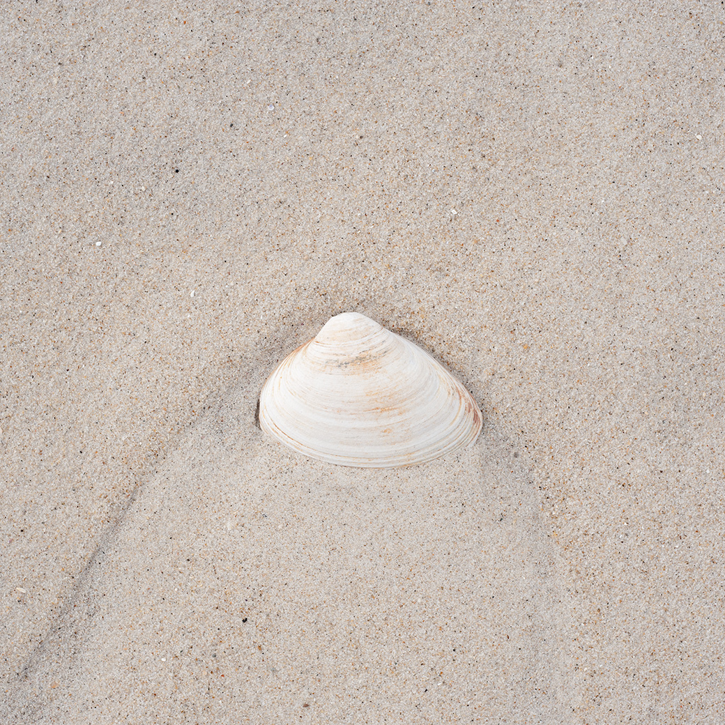 Beach II 2011
