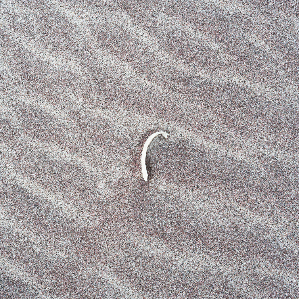 Beach III 2011