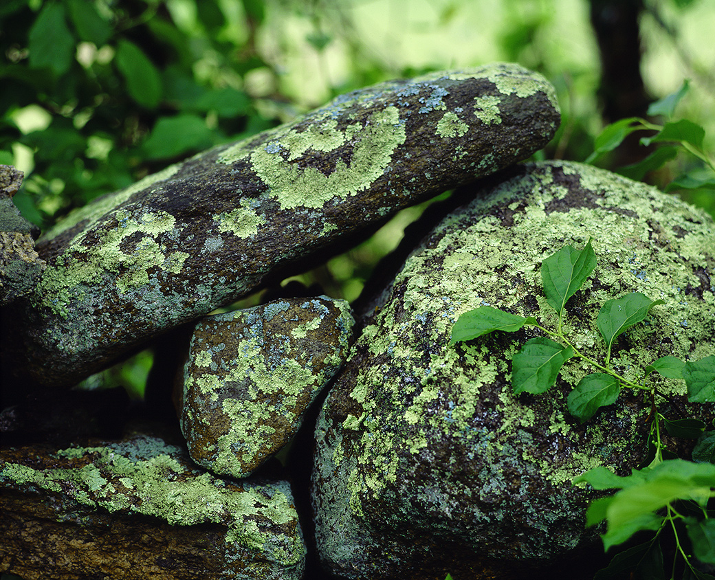 Stone Wall