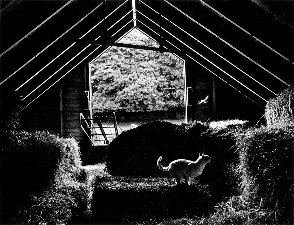 Brookside Farm 1983