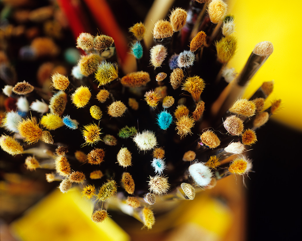Brushes