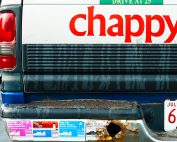 Chappy Ferry VI 2011
