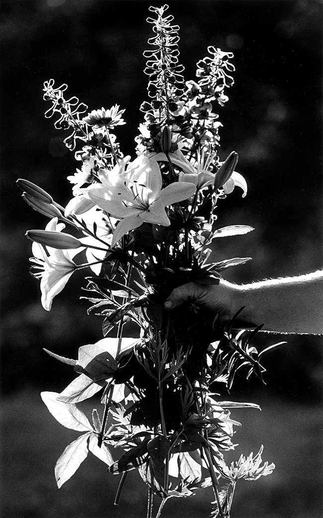 Charlotte's Garden 1989