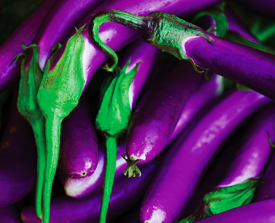 Eggplant