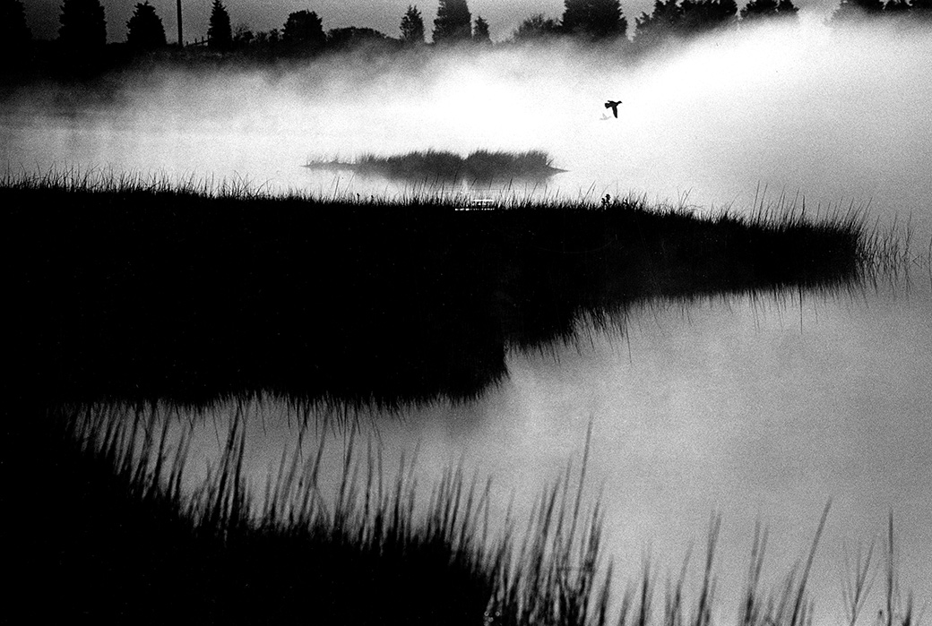 Farm Pond 1982