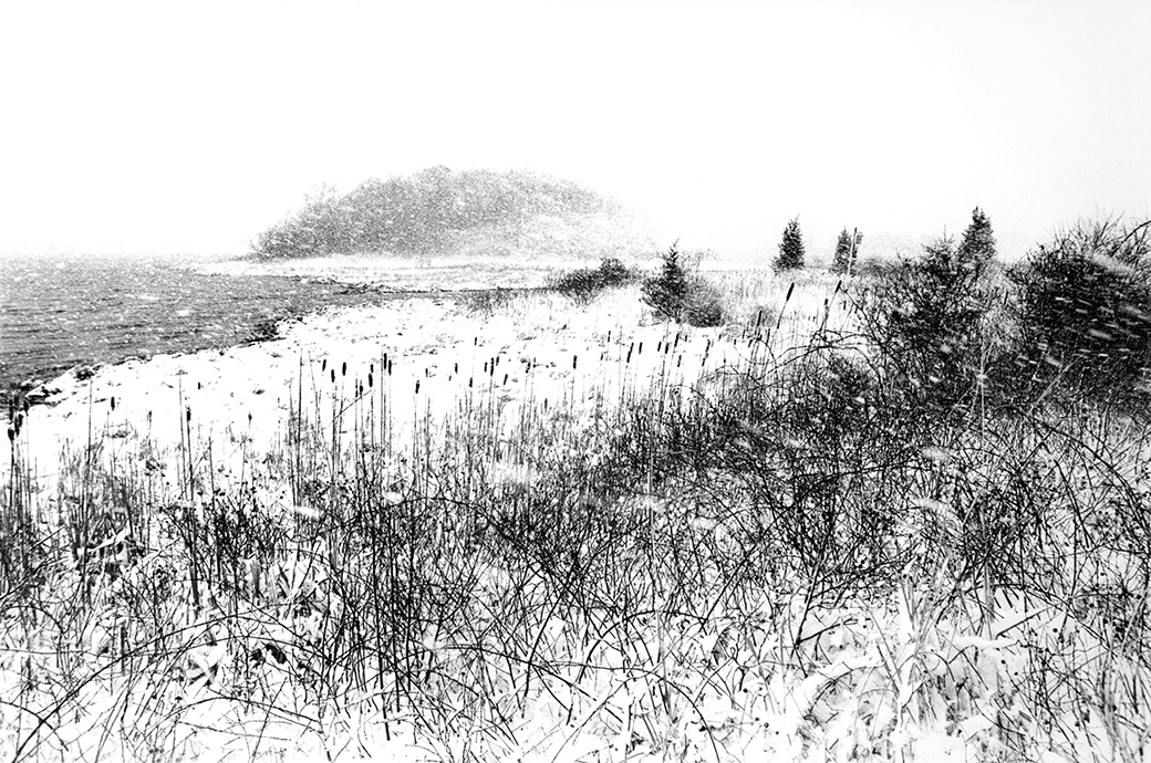 Farm Pond 1990