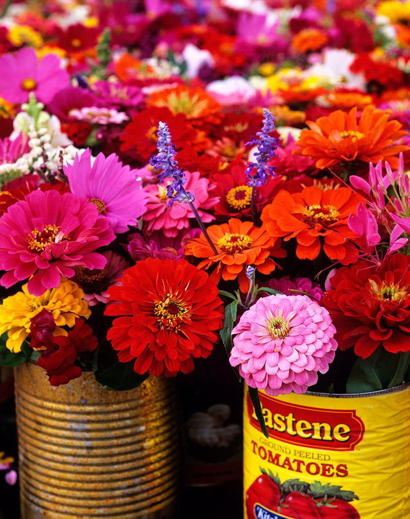 Farmers' Market 1998