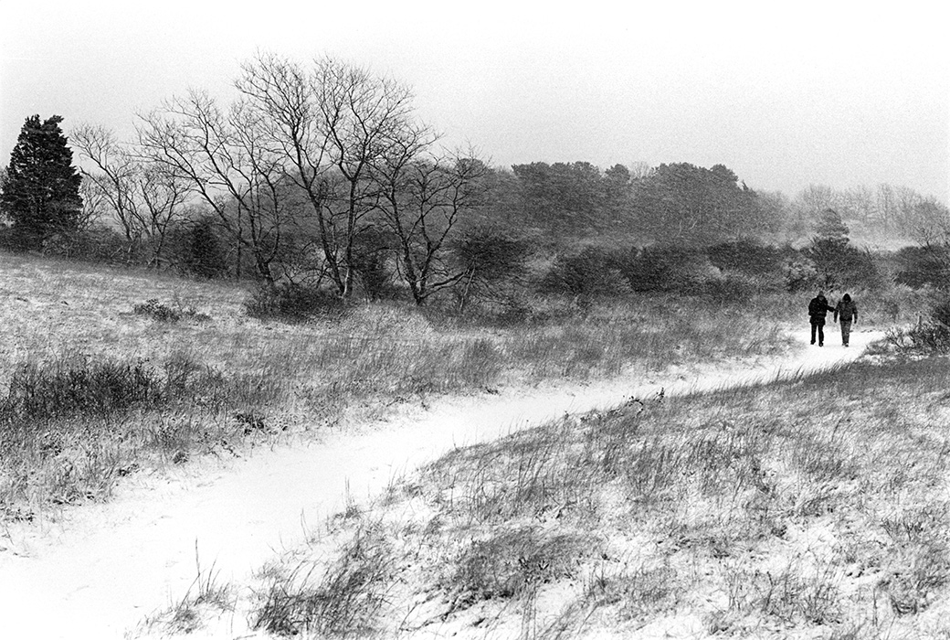 Felix Neck 1980