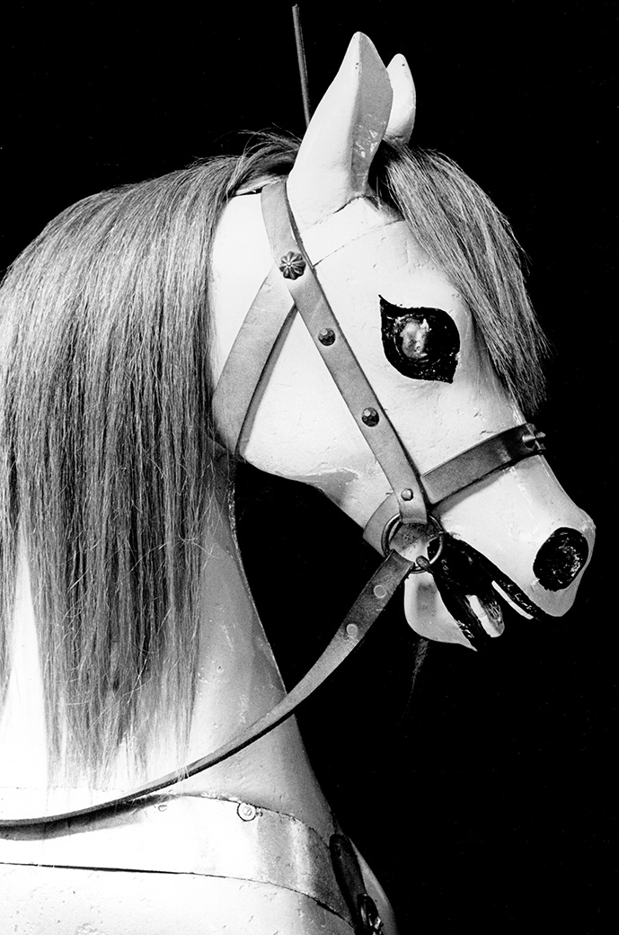 Flying Horses 1986