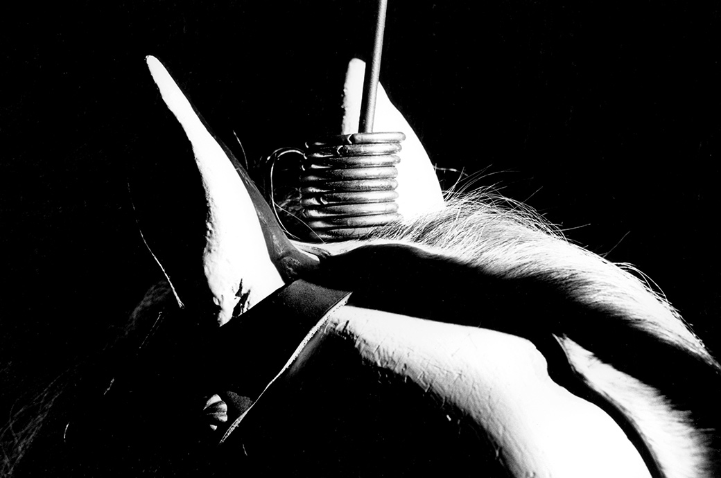 Flying Horses 1987