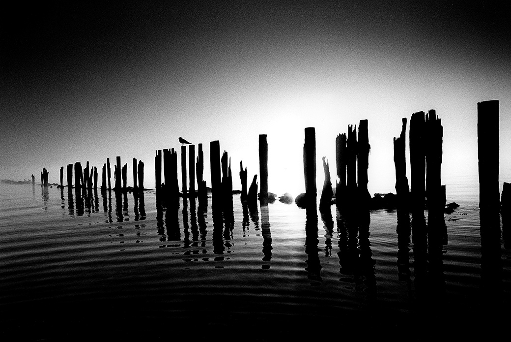 Harthaven 1985