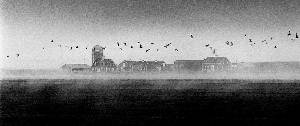 Herring Creek Farm 1980