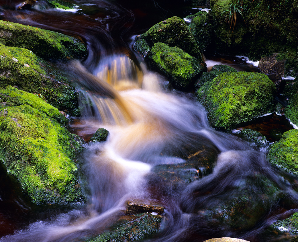 Karamea