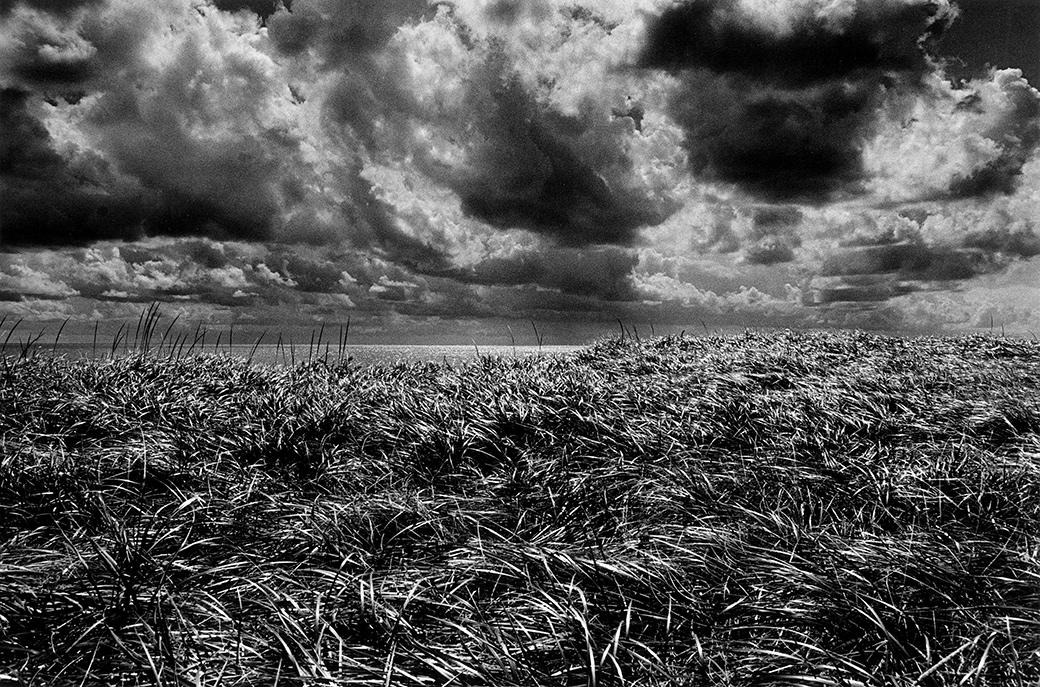 Lucy Vincent Beach 1985