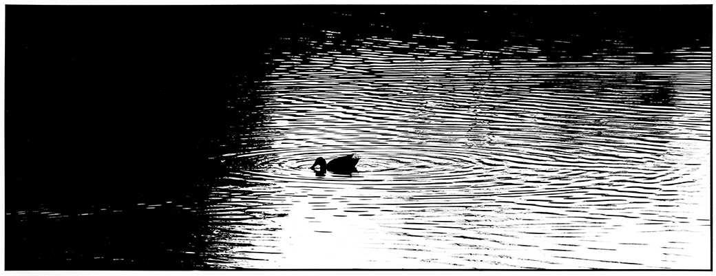 Lagoon II 1988