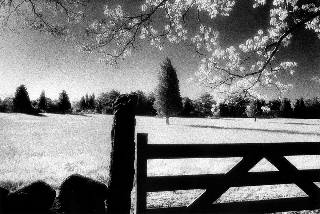 Littlefield Field 1997
