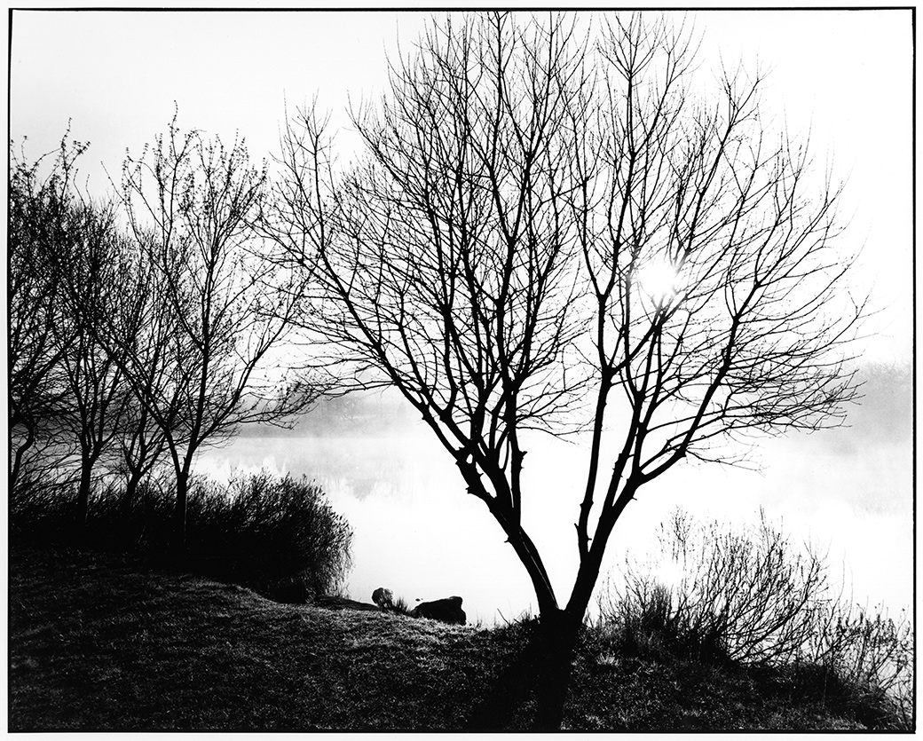 Mill Pond 1991