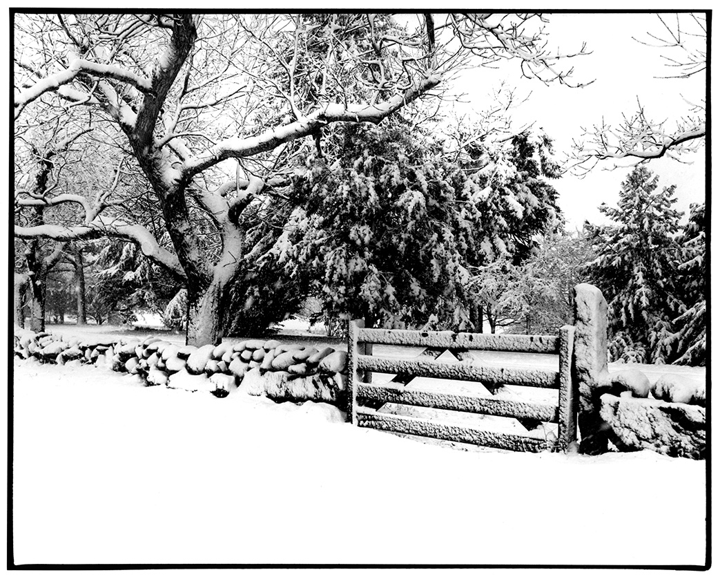 North Tisbury 1996
