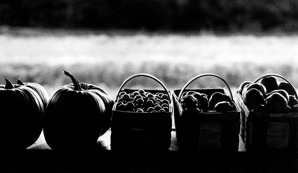 Norton Farm 1989