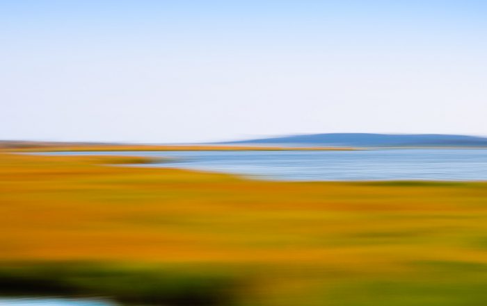 Poucha Pond III 2011