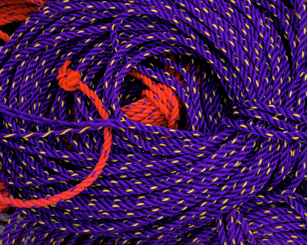 Purple and Orange Ropes 2003