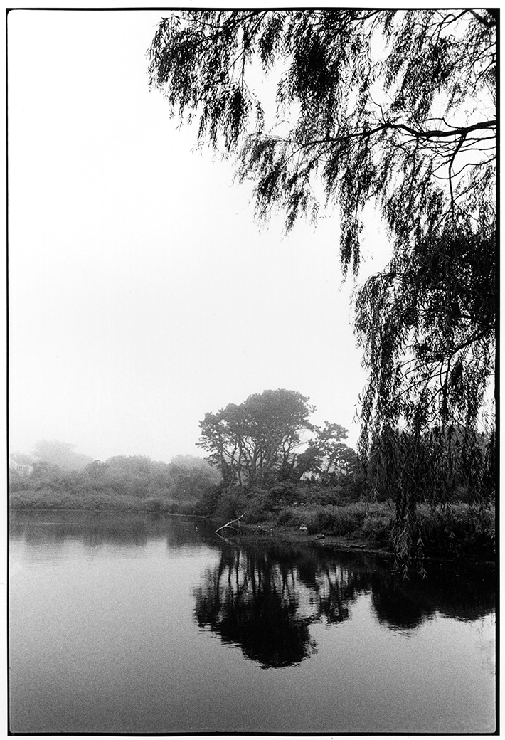 Sheriff's Meadow 1979