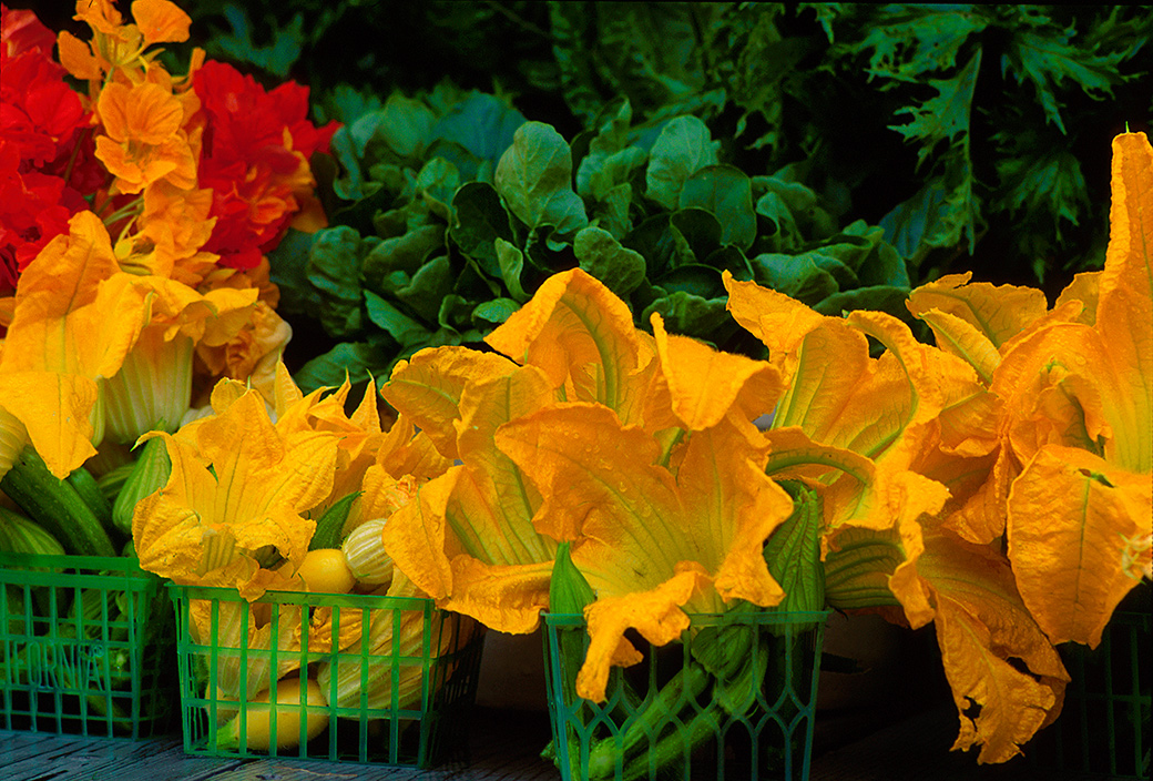 Squash Blossoms 1993