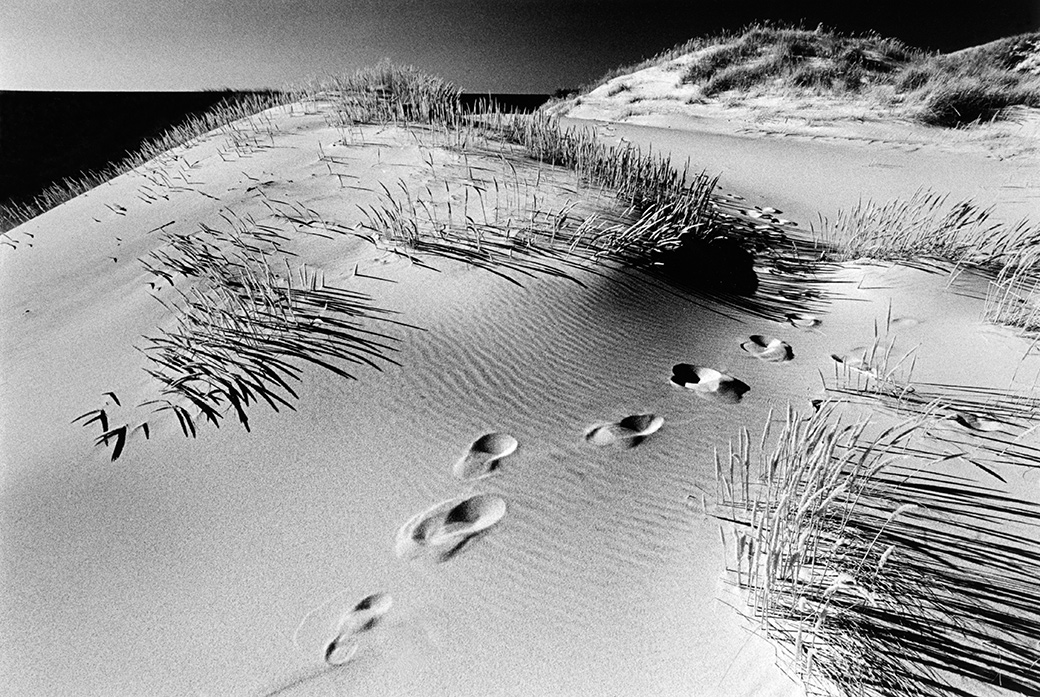 Squibnocket 1980