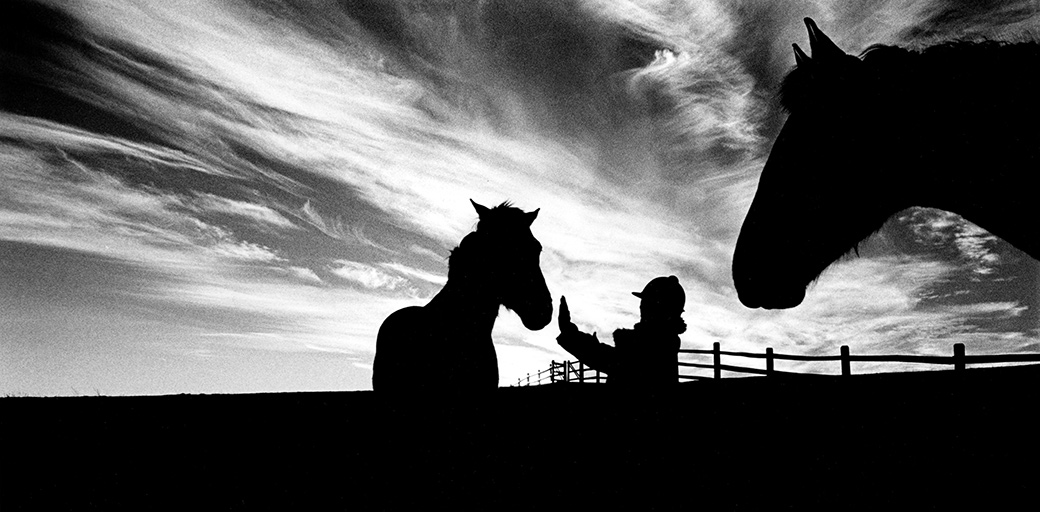 Sweet Water Farm 1980