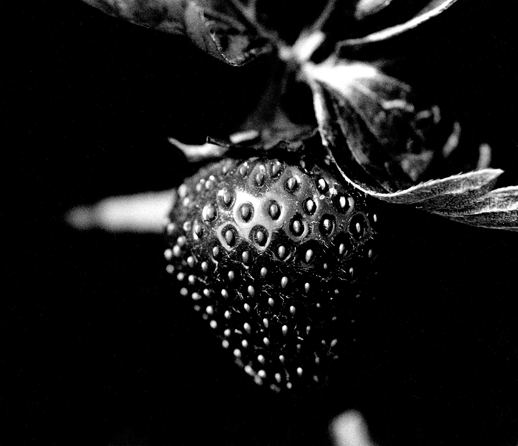 Thimble Farm 1989
