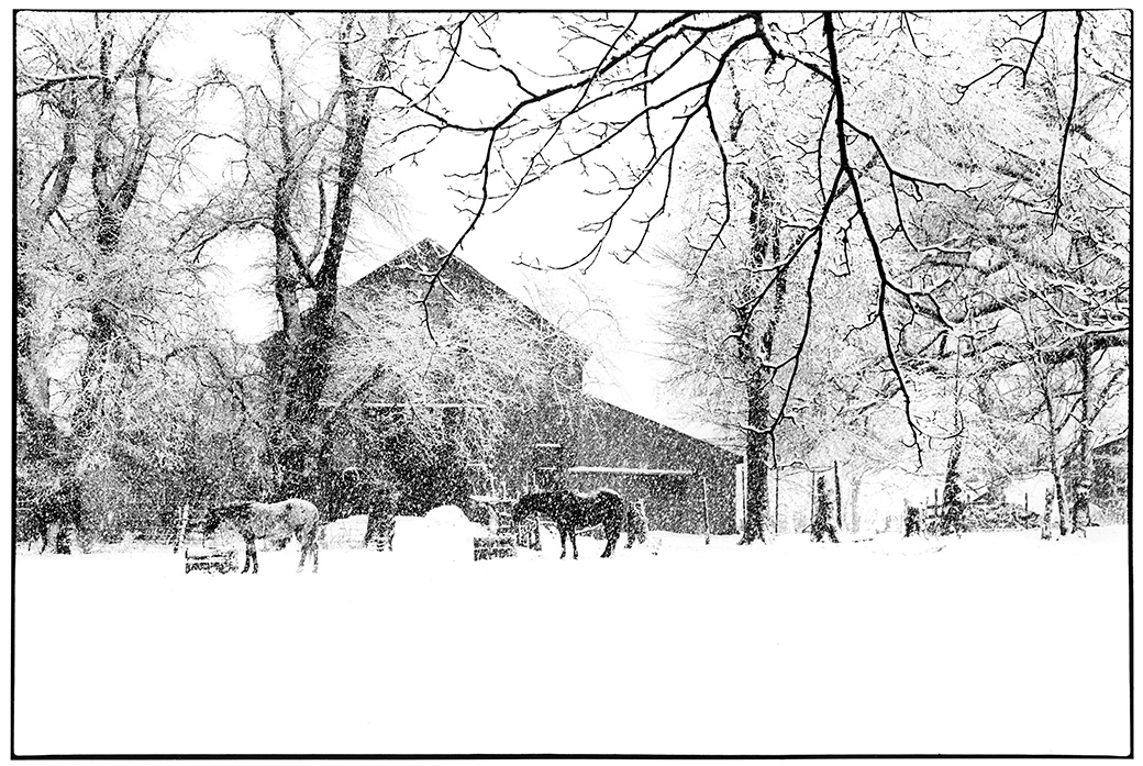 Whiting Farm 1996