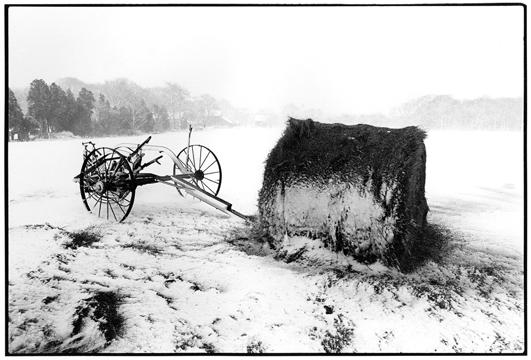 Whiting Farm 1987