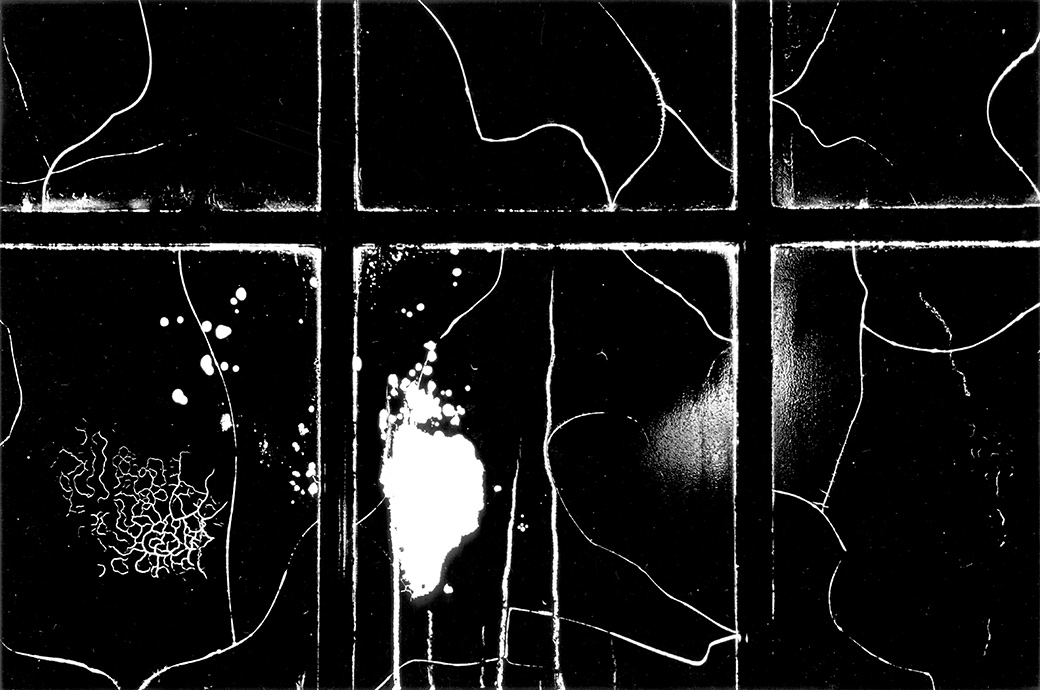 Window