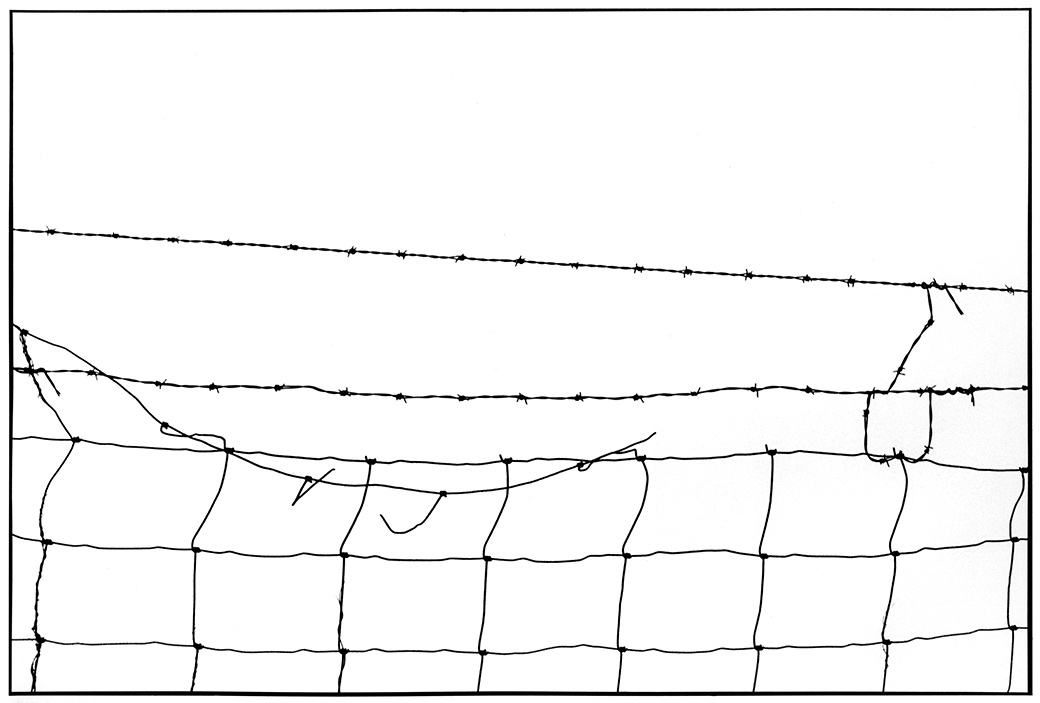 Wire Fence 1994