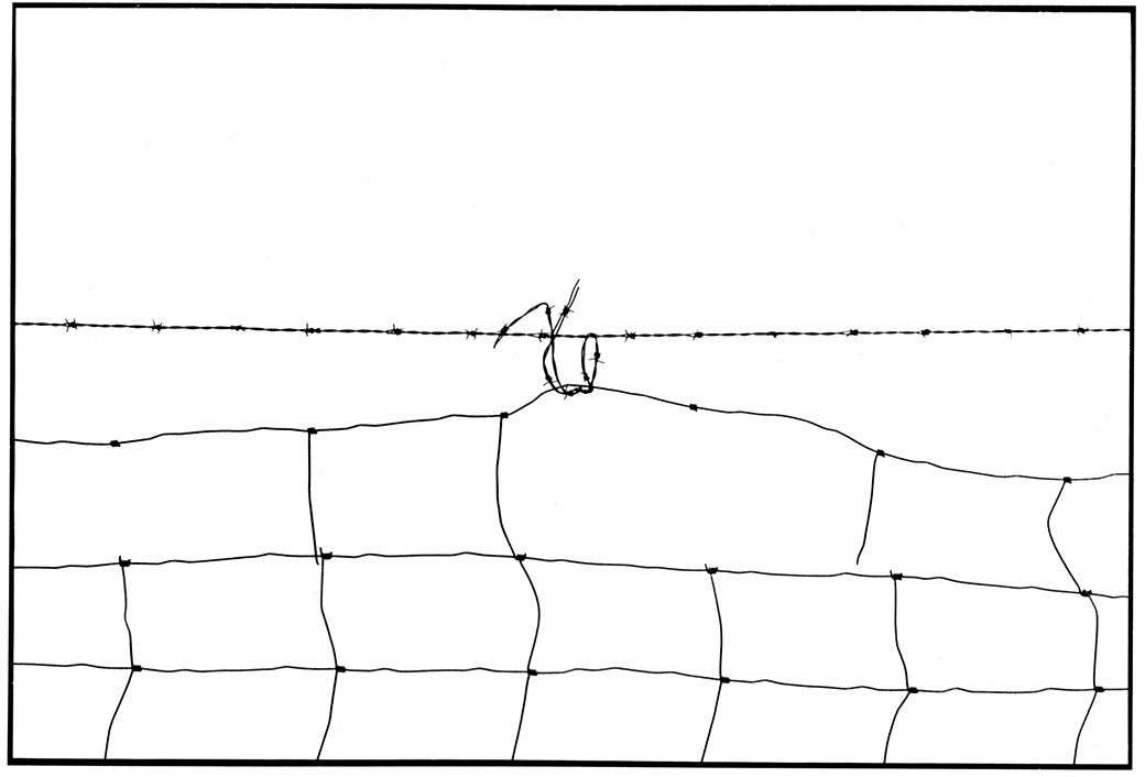 Wire Fence II 1994