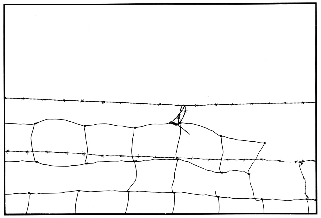 Wire Fence III 1994