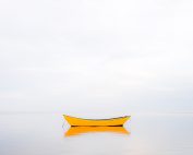Yellow Boat 2014