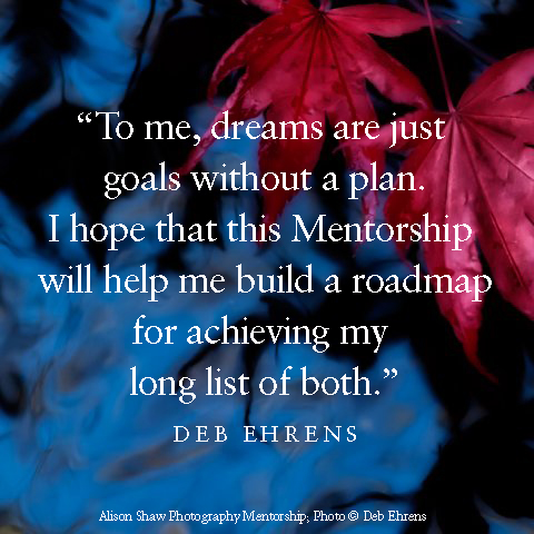 debquote1