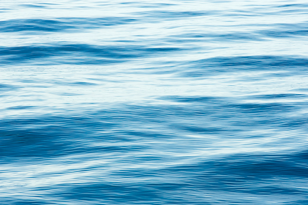 Water II 2009