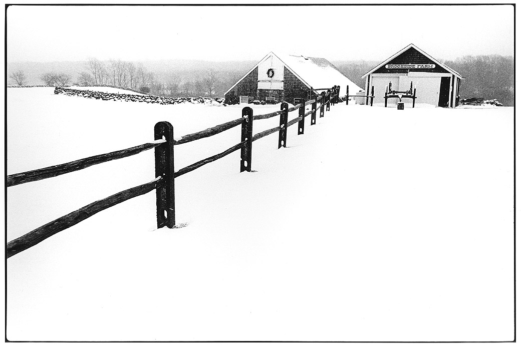 Brookside Farm 1981