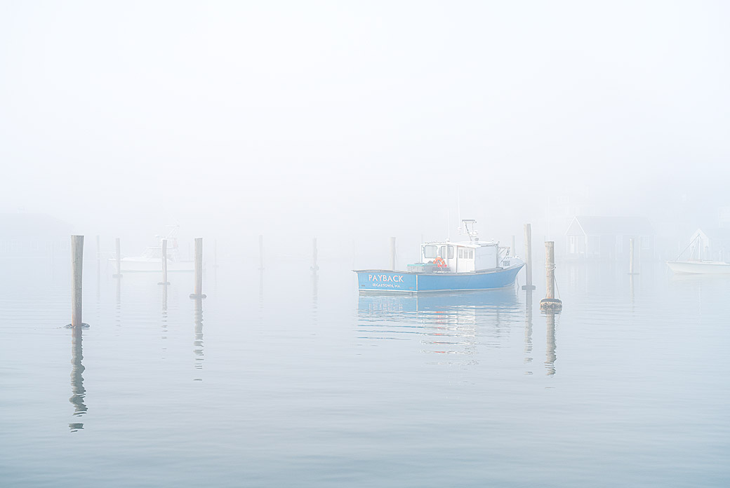 Edgartown Harbor II 2020