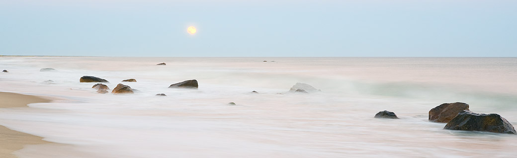 Lucy Vincent Beach 2008