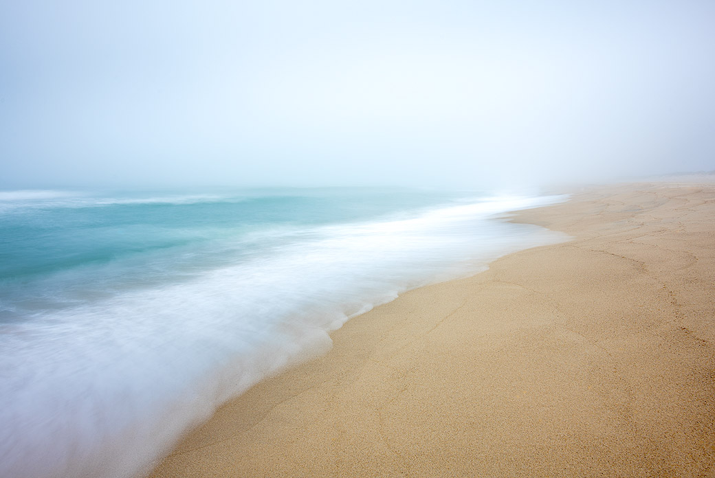 Long Point 2019