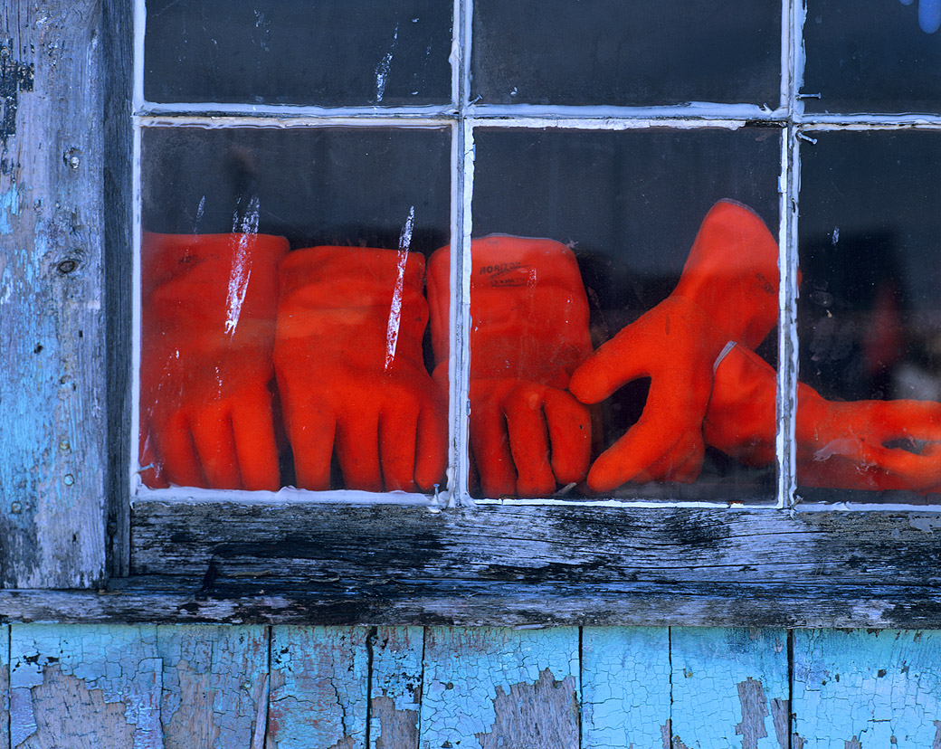 Orange Gloves 2004
