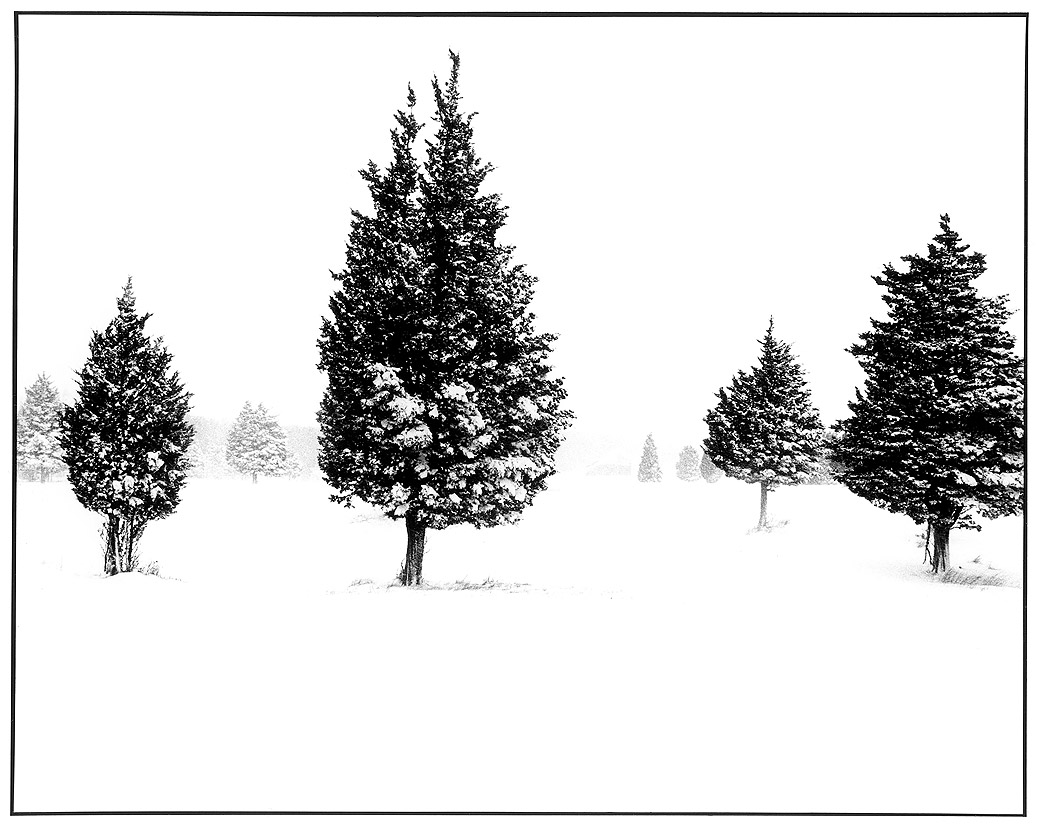Panhandle Road 1996
