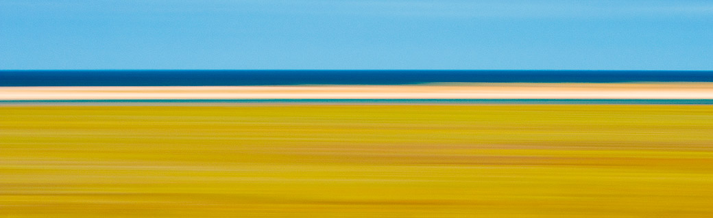 The Police Investigation and Search for a Suspect