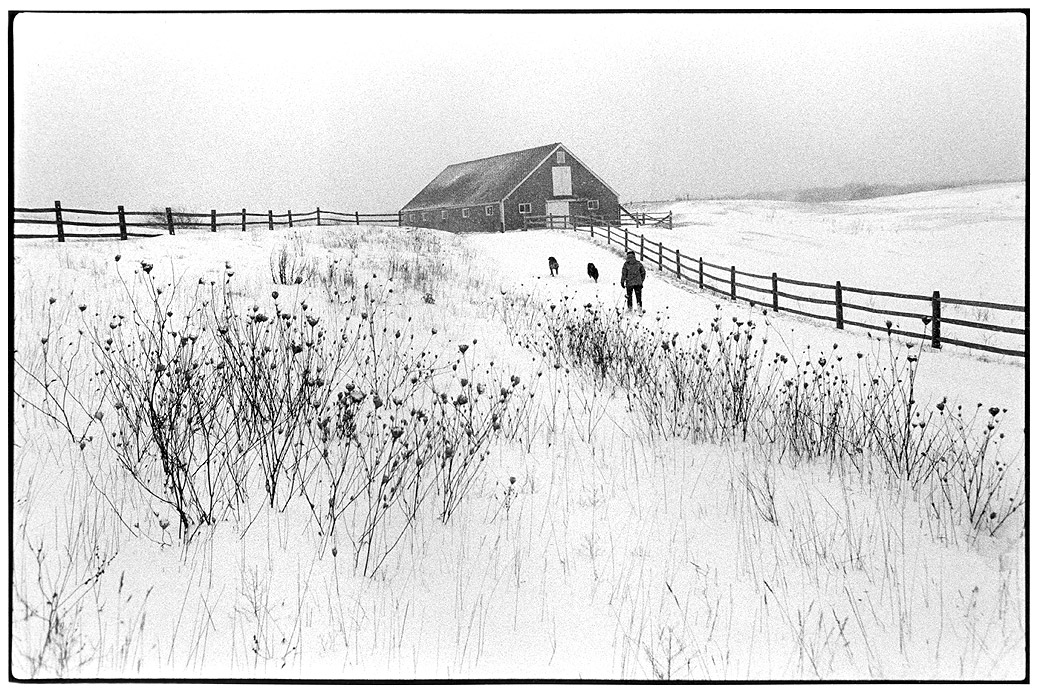 Sweetened Water Farm 1982