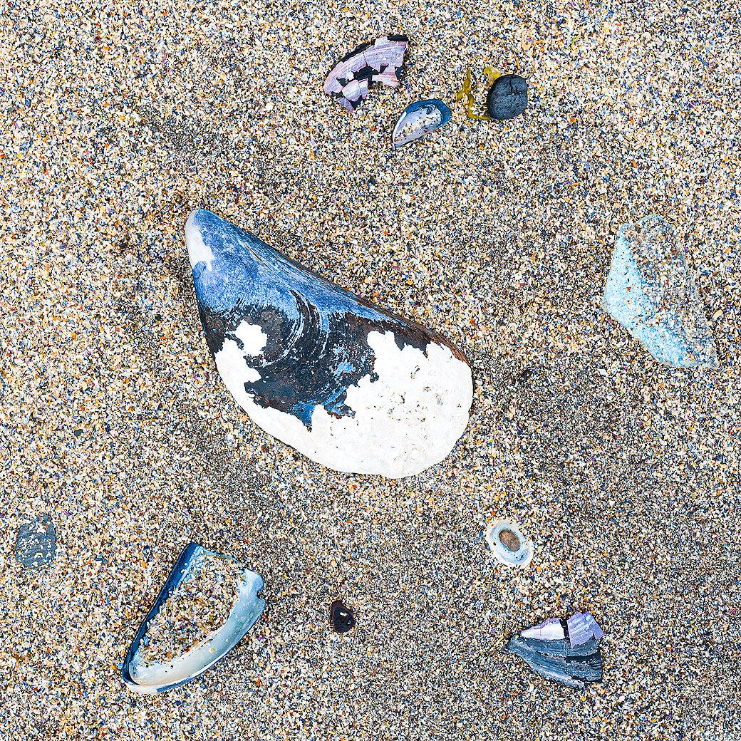 Beach II 2010